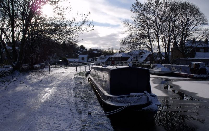 Audrey Too in the ice at Rodley